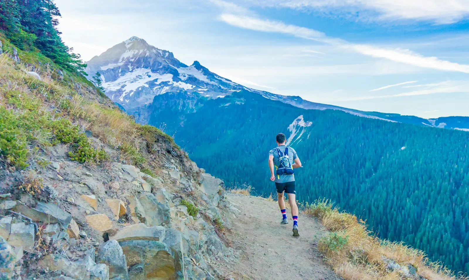 Runner on a mountain trail with snowy peaks and forest behind