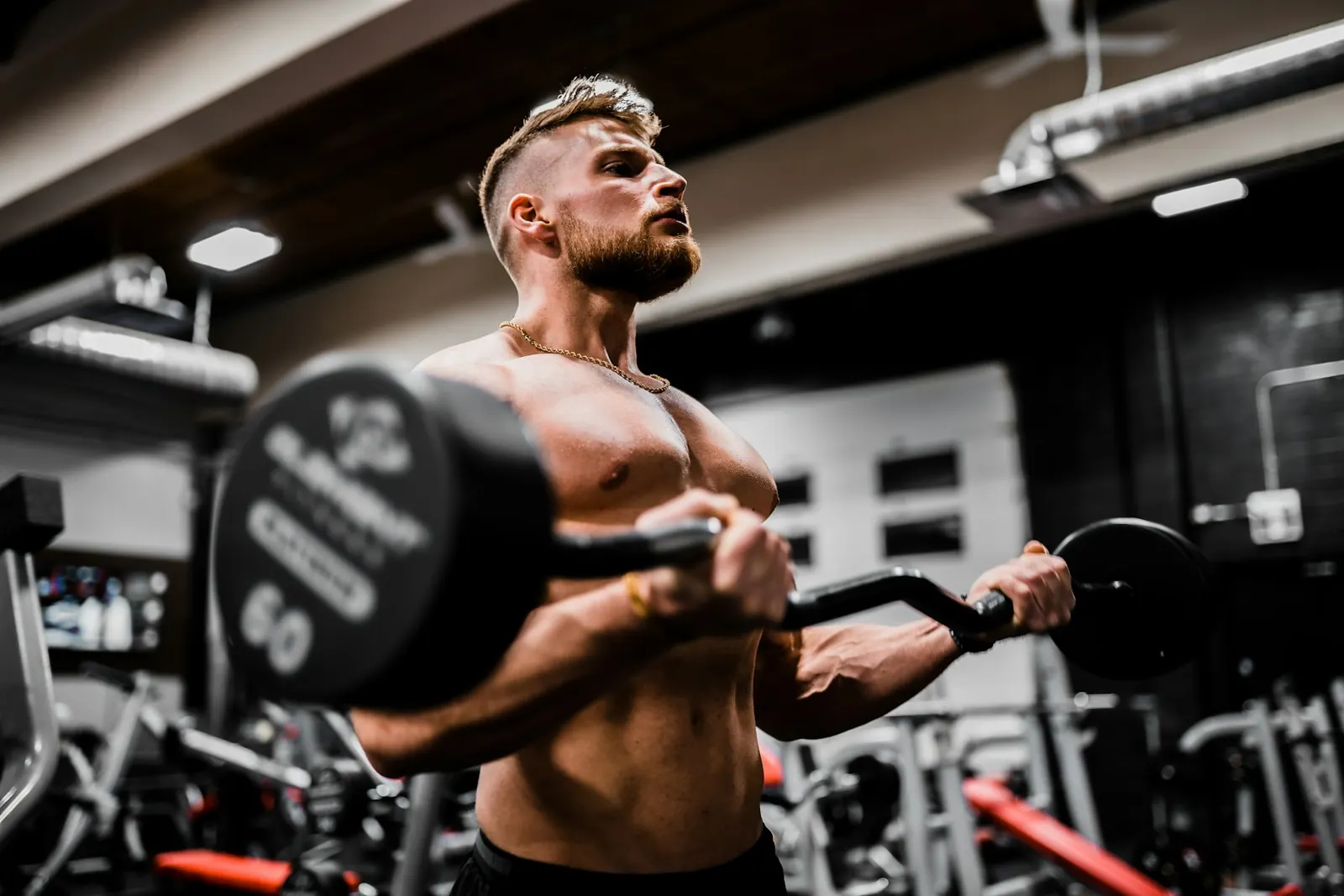 Muscular man doing barbell curls in a gym