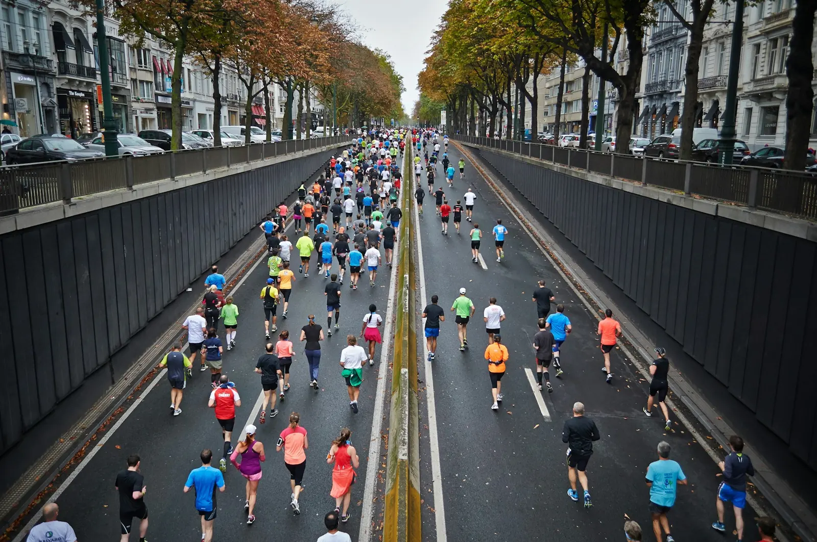 Large crowd of runners in a city marathon running between rows of trees