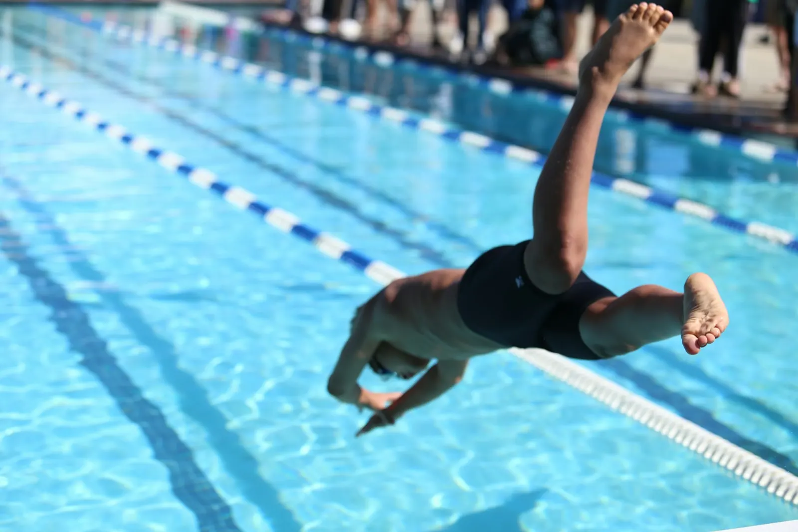 Swimmer diving into a pool lane from the side